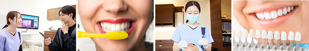 予防歯科の治療内容