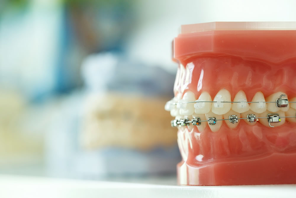 矯正歯科担当医